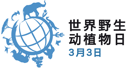 Official logo chinese