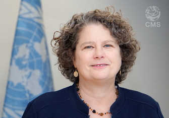 Amy Fraenkel, CMS