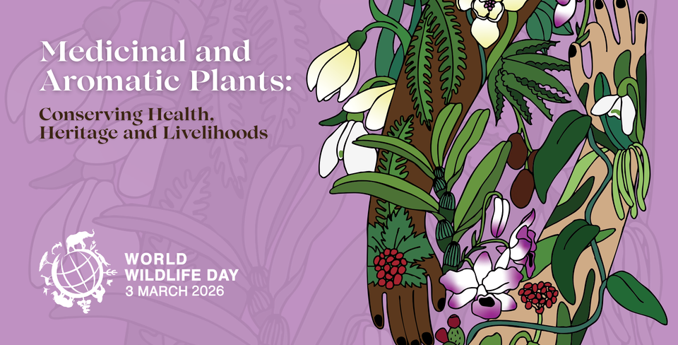 WWD2026 Poster in English - Lavendar Background